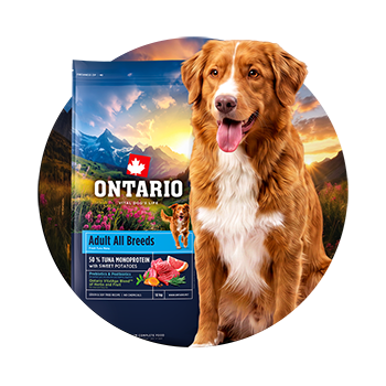 Výživové poradenství Ontario